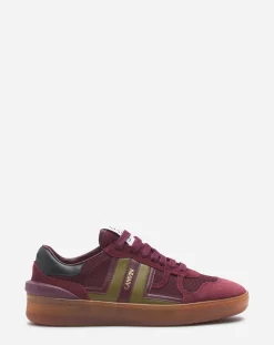 Hot Clay mesh sneakers Women Sneakers