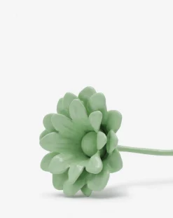 Best Marguerite brooch Women Jewelry