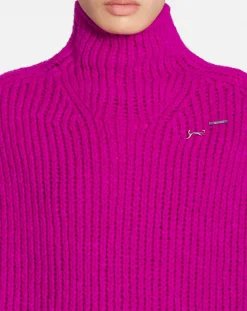 Hot Turtleneck sweater Women Knitwear